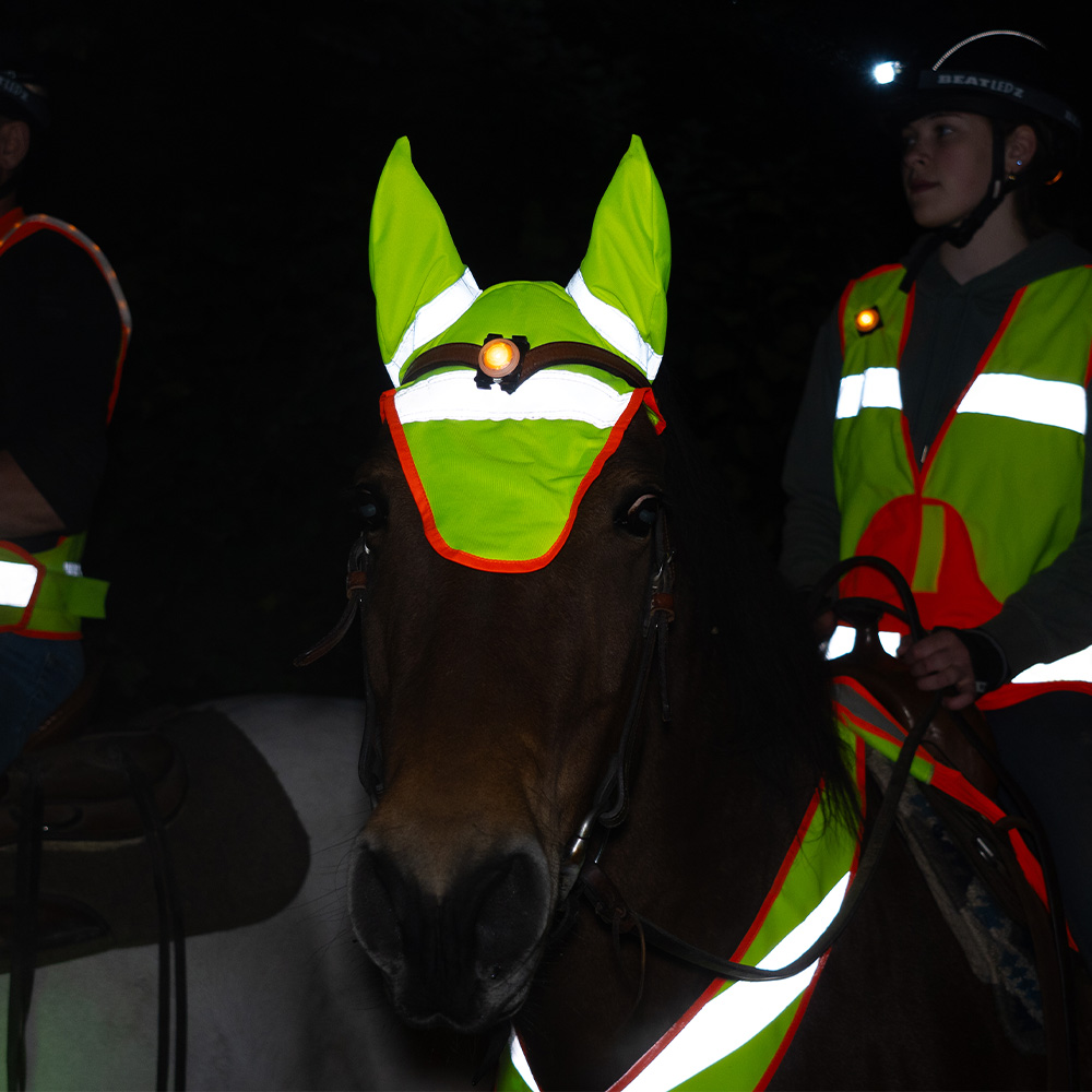 Washington Luminous Ear Bonnet For Horse And Pony - EN 20471