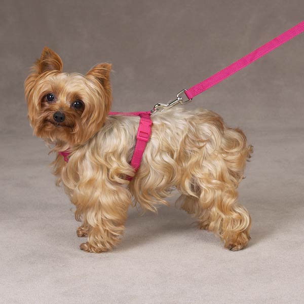 Petsters Nylon Harnesses - 4
