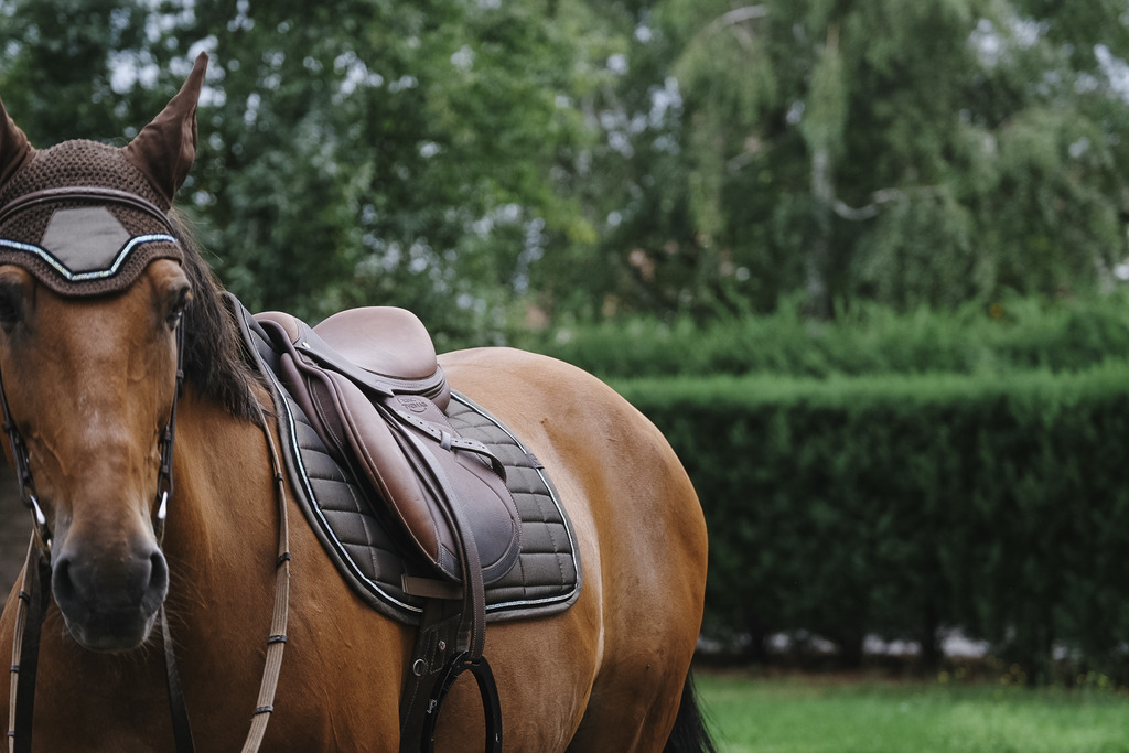 EQUITHEME 'Domino' Fly Mask Copper - 6