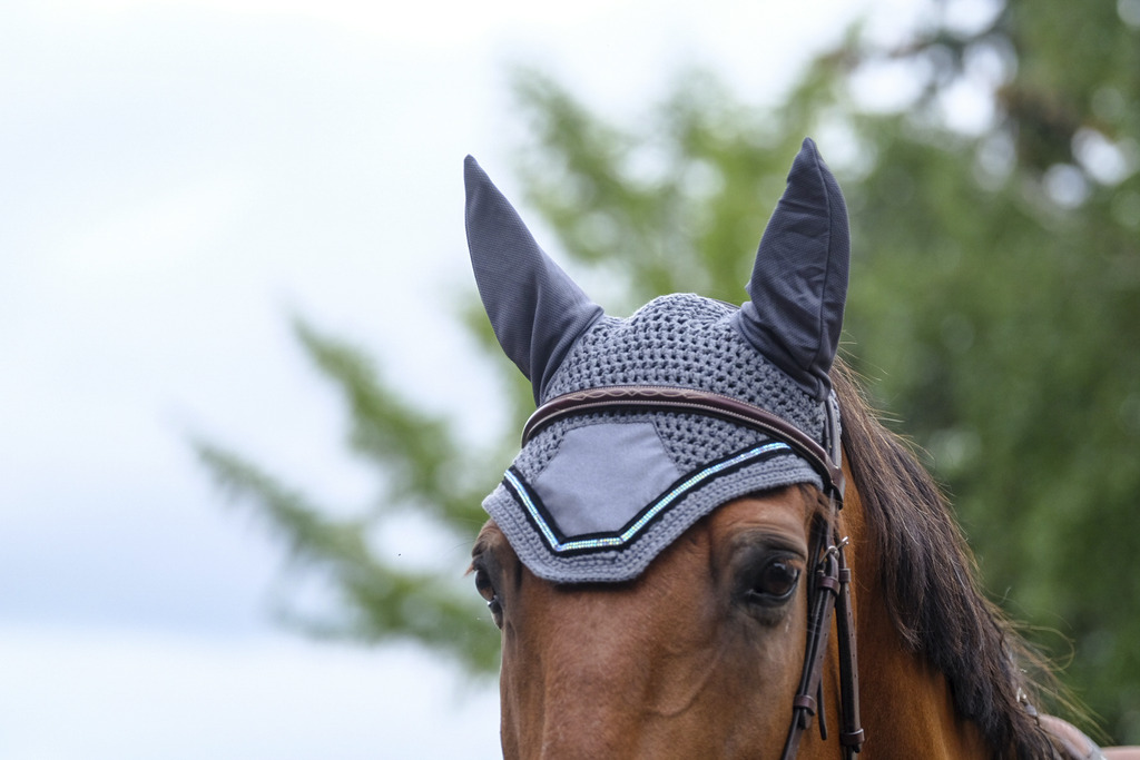 EQUITHEME 'Domino' Fly Mask Grey - 4