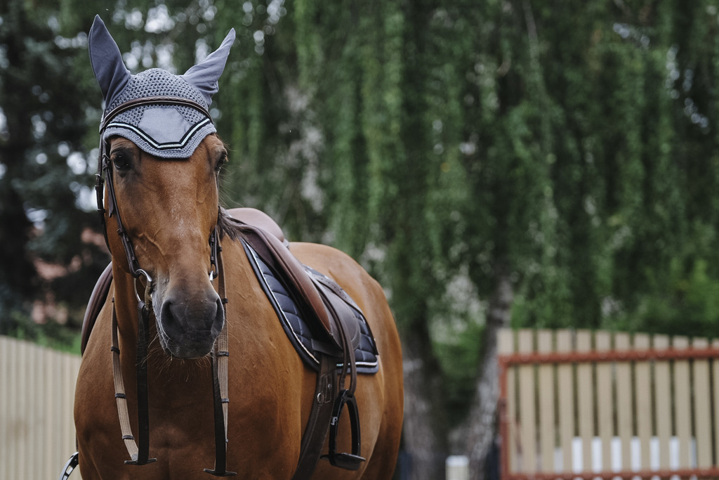 EQUITHEME 'Domino' Fly Mask Grey - 5