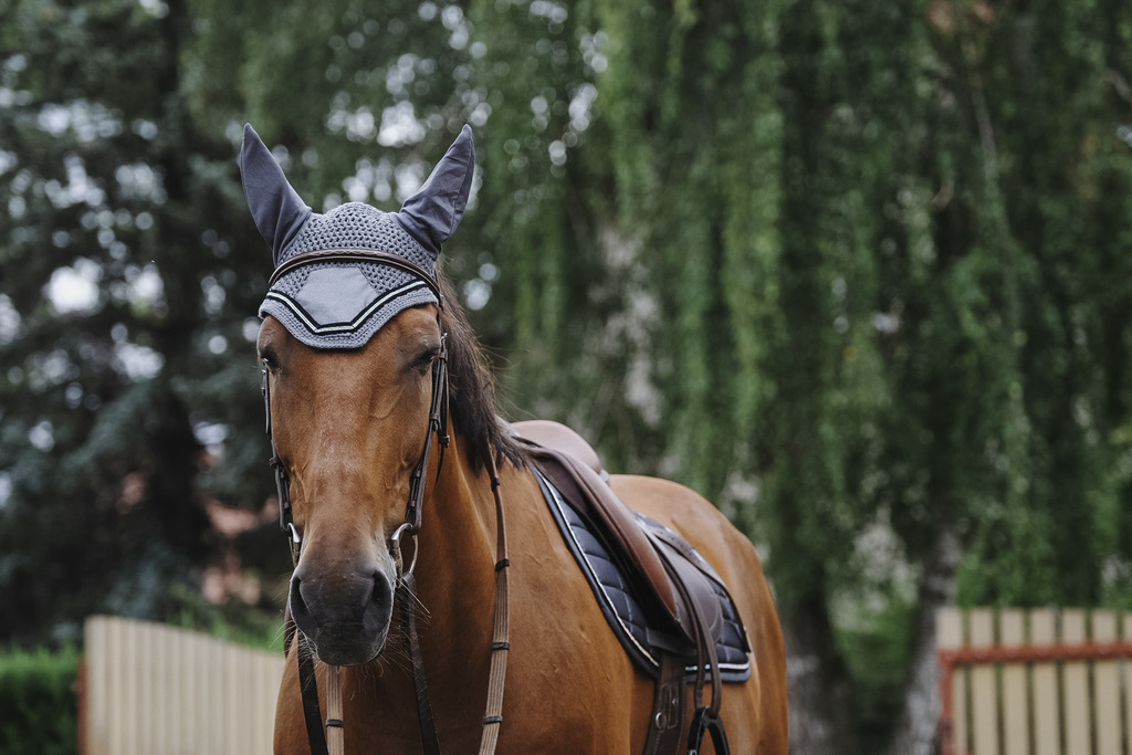 EQUITHEME 'Domino' Fly Mask Grey - 2