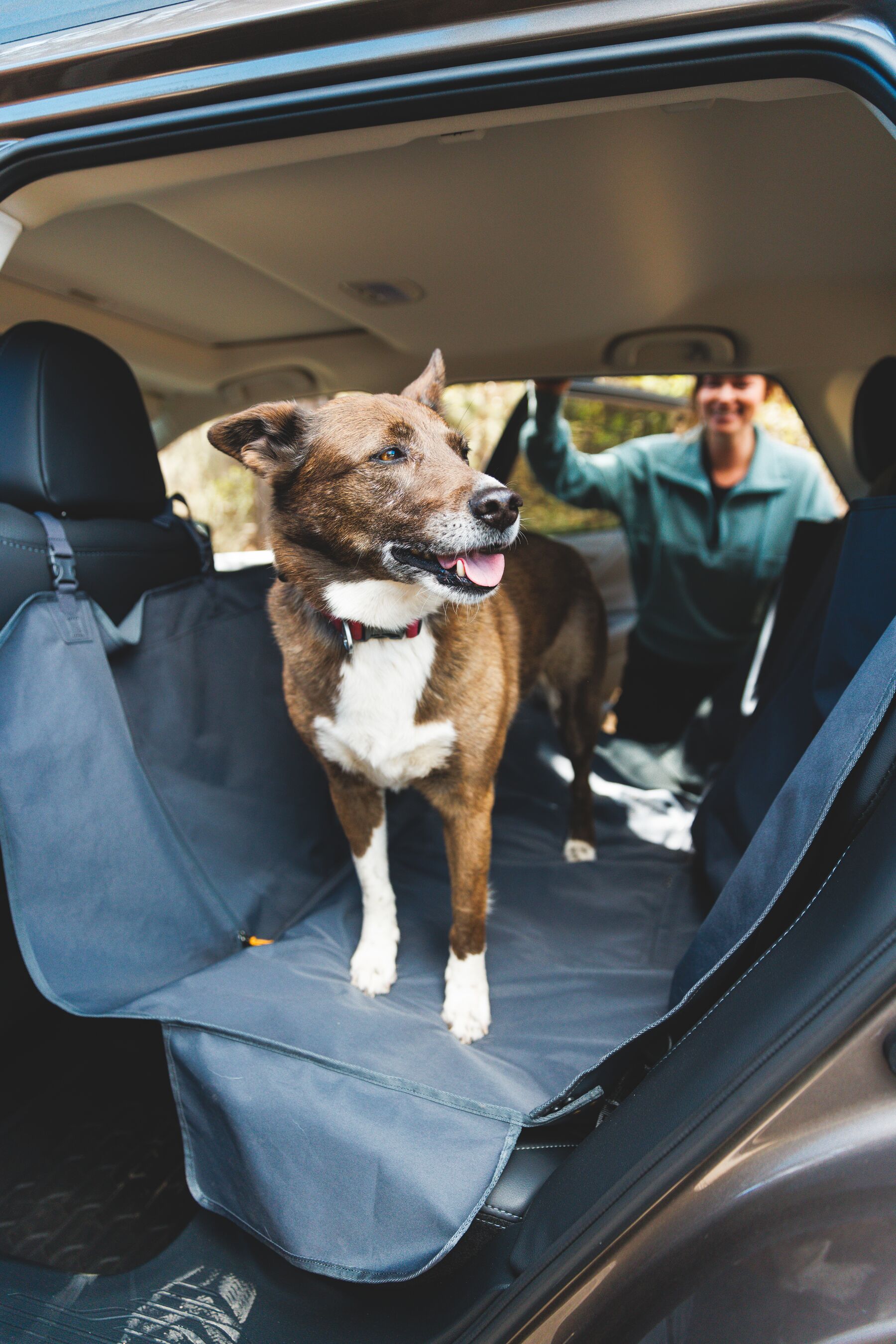 Ruffwear Dirtbag Dog Car Seat Cover - Basalt Gray - 10