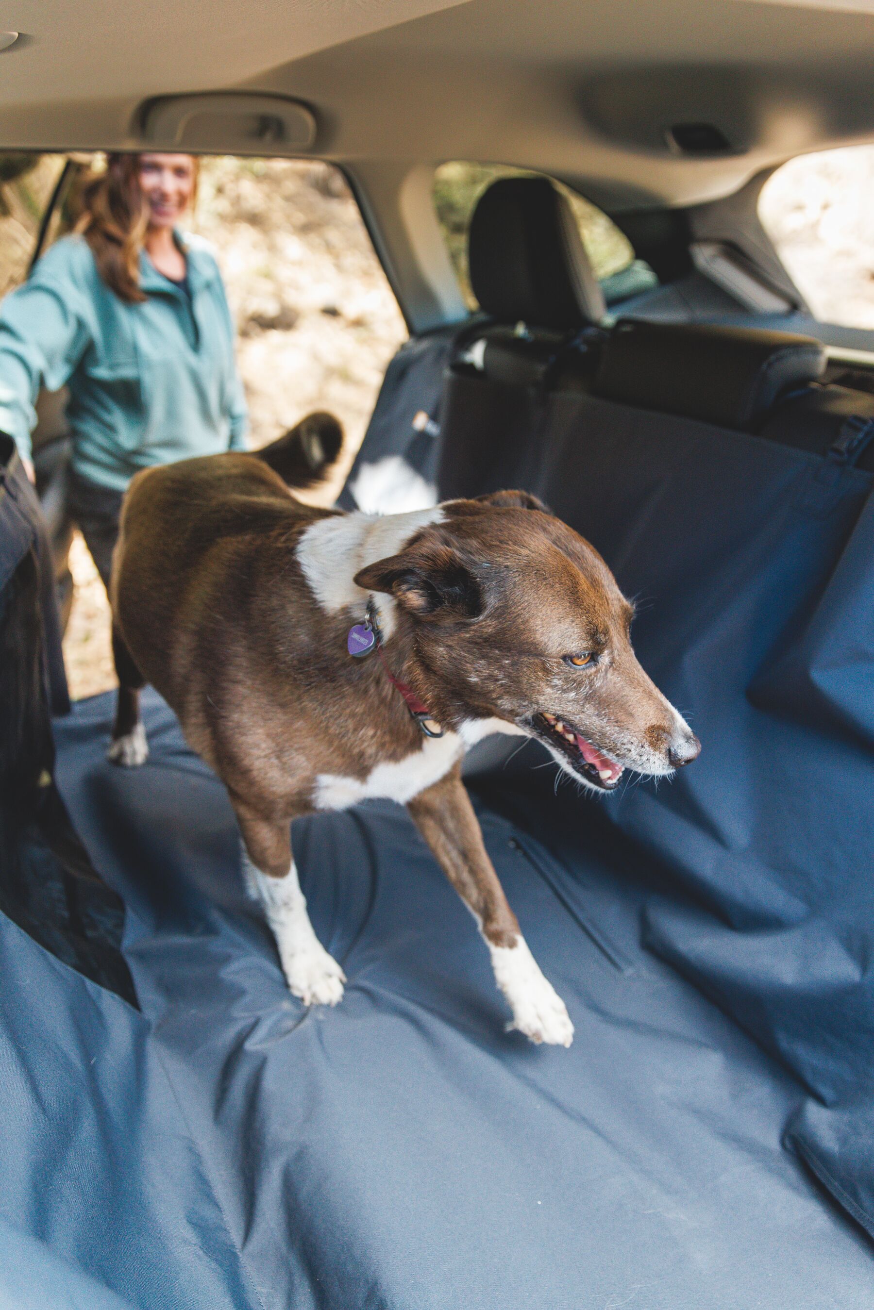Ruffwear Dirtbag Dog Car Seat Cover - Basalt Gray - 9