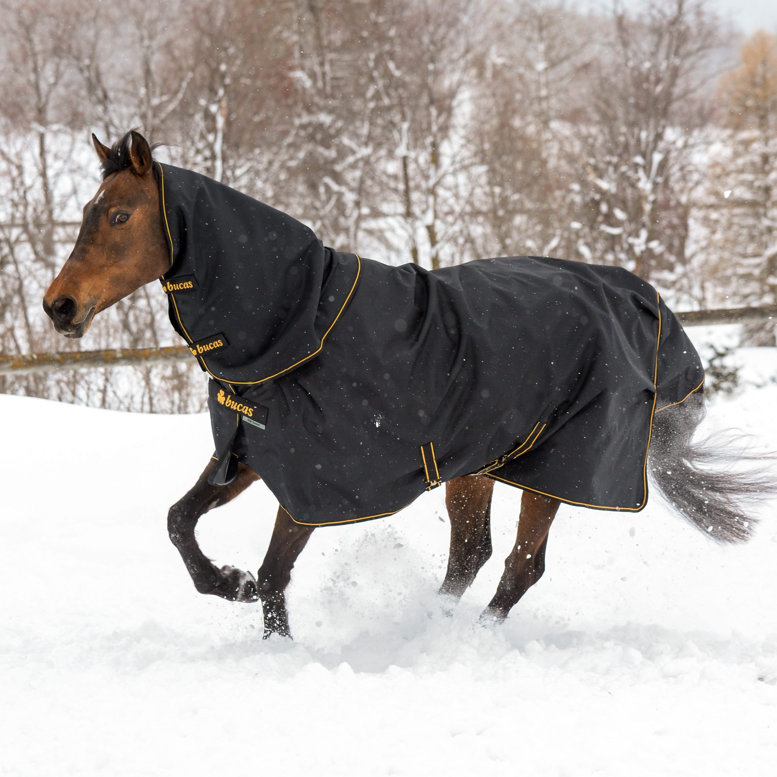 Bucas Irish Combi Neck - Black / Gold