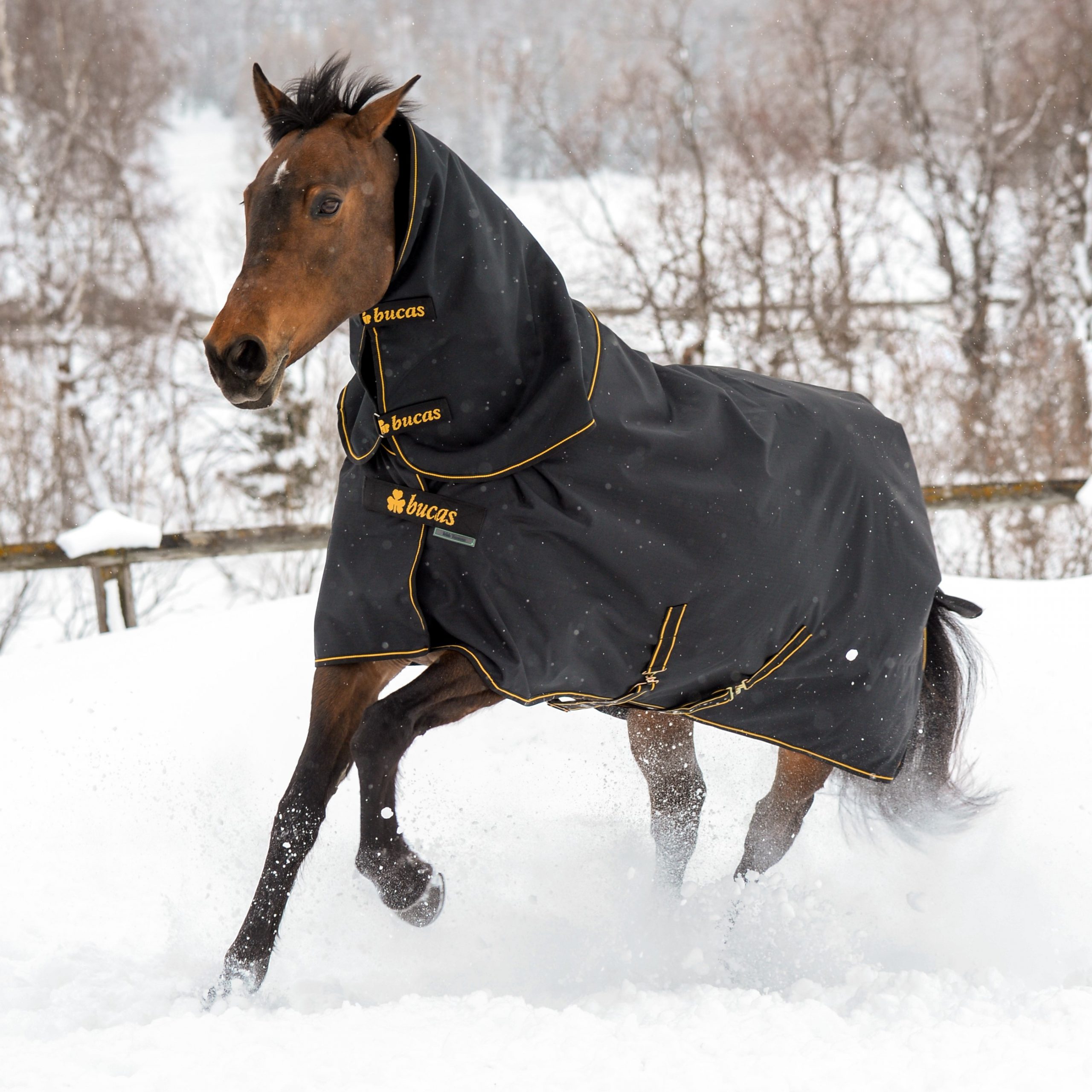 Bucas Irish Combi Neck - Black / Gold - fleece