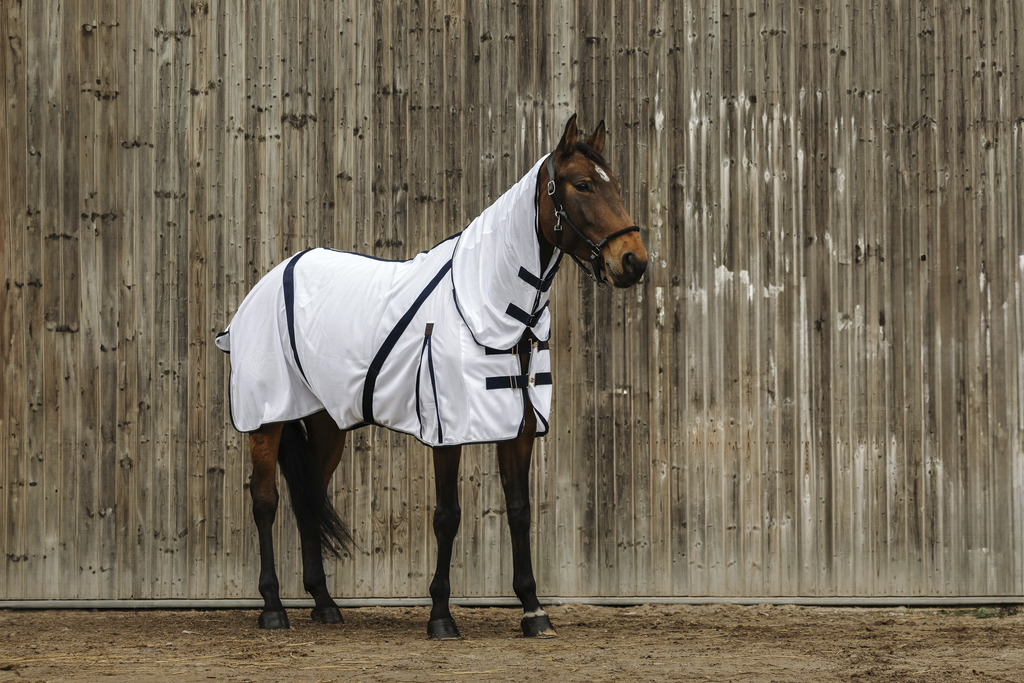 EQUITHEME Mesh Combo Sheet White - 2