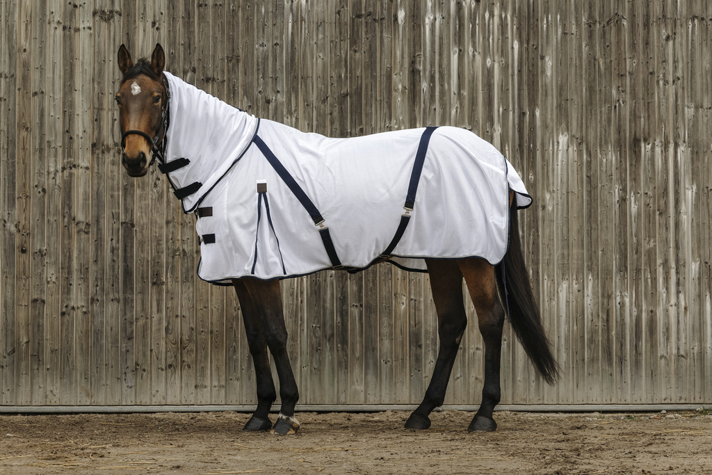 EQUITHEME Mesh Combo Hästtäcke Vit (5'9 - 125 cm)