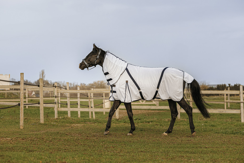 EQUITHEME Mesh Combo Sheet White - 6