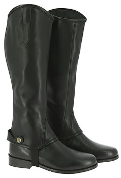 NORTON Stretch Half Chaps Black