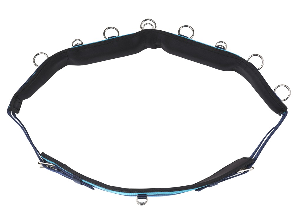 NORTON Synthetic Lunging Surcingle Turquoise/Navy/Light Blue