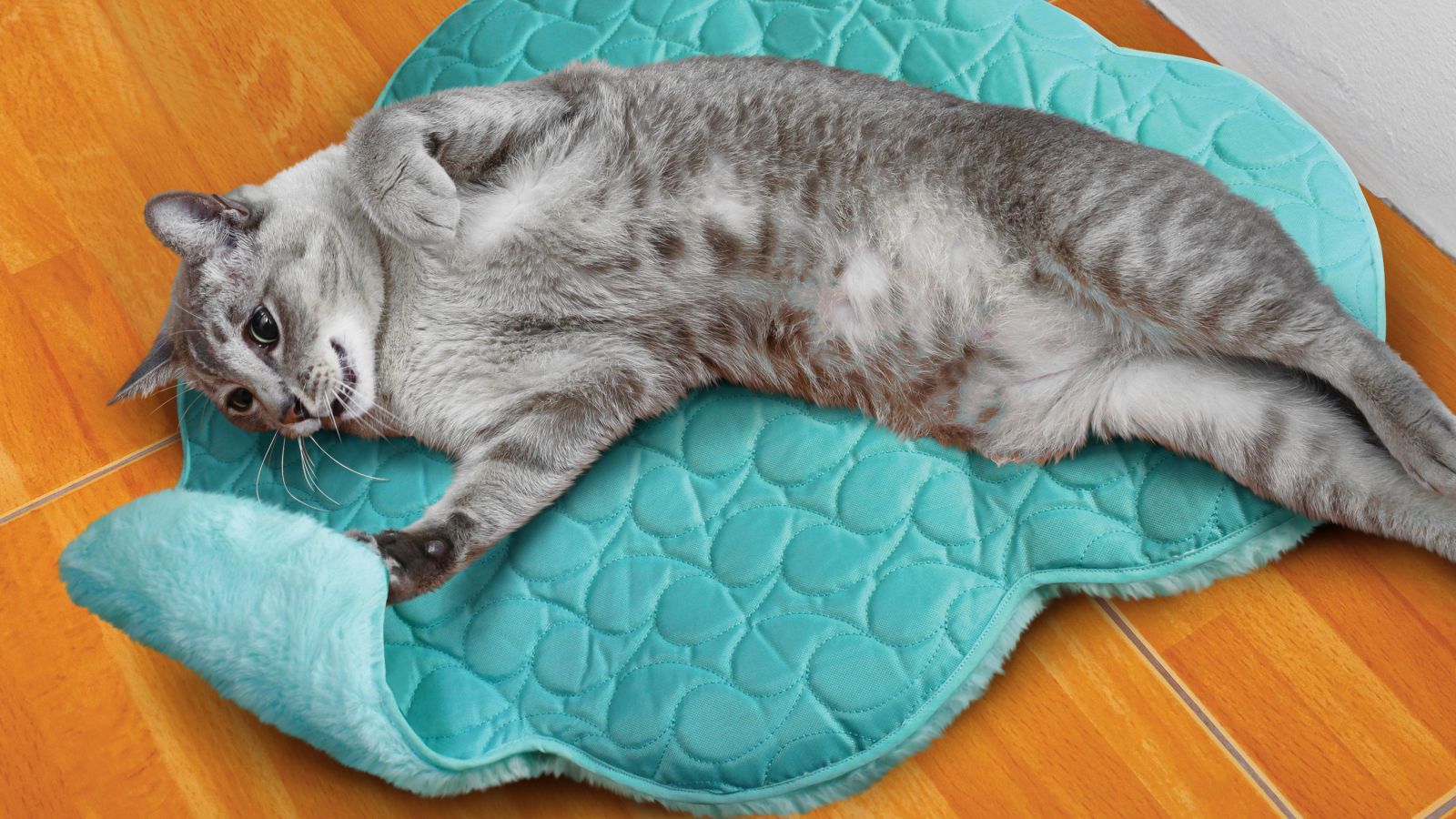 KONG Play Spaces Cloud - Cat Toy