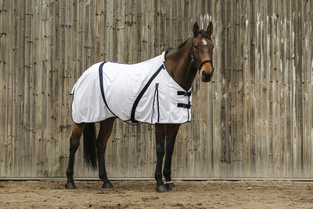 EQUITHEME Insect-proof Sheet - Mesh White - 2