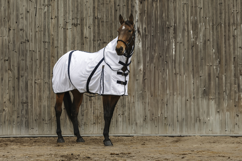 EQUITHEME Insect-proof Sheet - Mesh White - 3