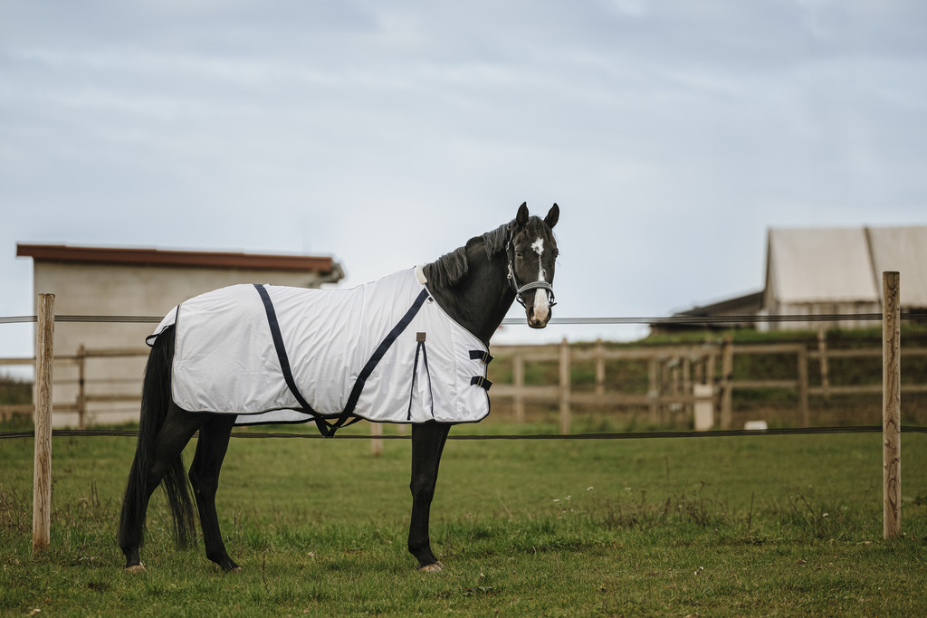EQUITHEME Insect-proof Sheet - Mesh White - 7