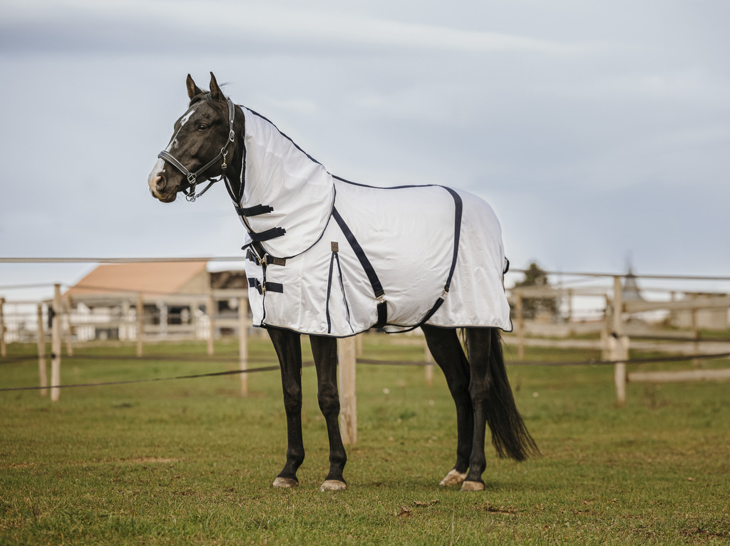 EQUITHEME Insect-proof Sheet - Mesh White - 13