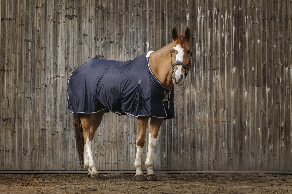 EQUITHEME Micro Mesh Sheet Navy - 2