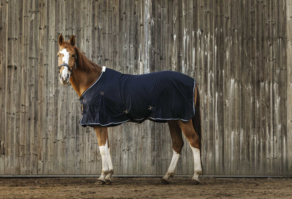 EQUITHEME Micro Mesh Sheet Navy - 5