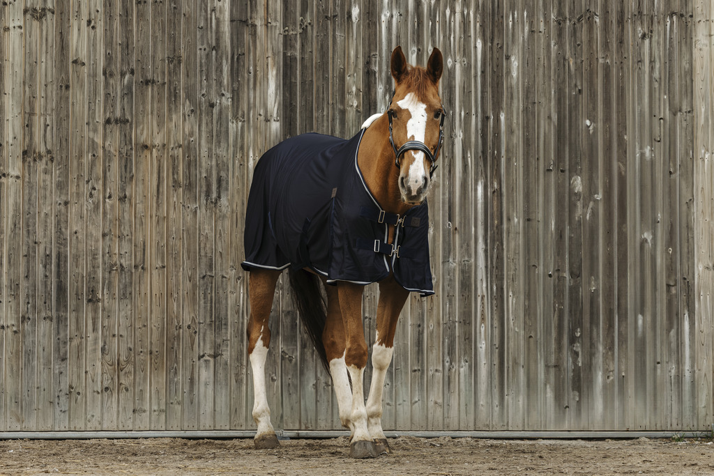 EQUITHEME Micro Mesh Sheet Navy - 4