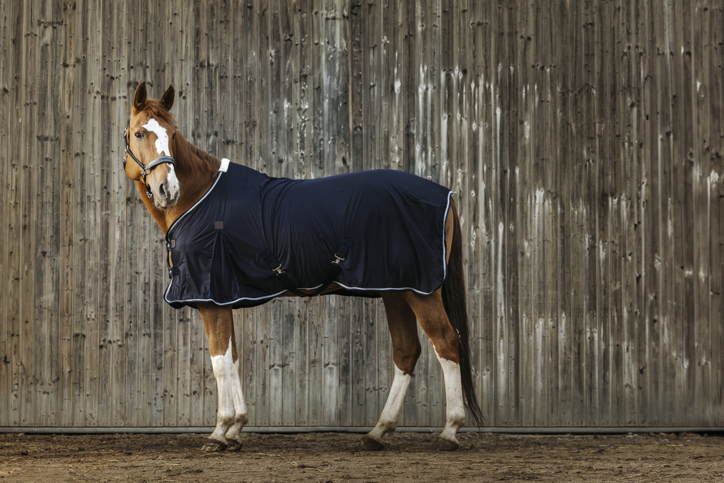 EQUITHEME Micro Mesh Sheet Navy - 3