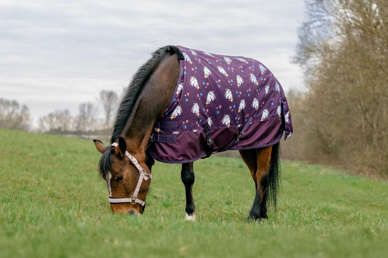 Equitheme Unicorn Horse Rug 600 D Plum