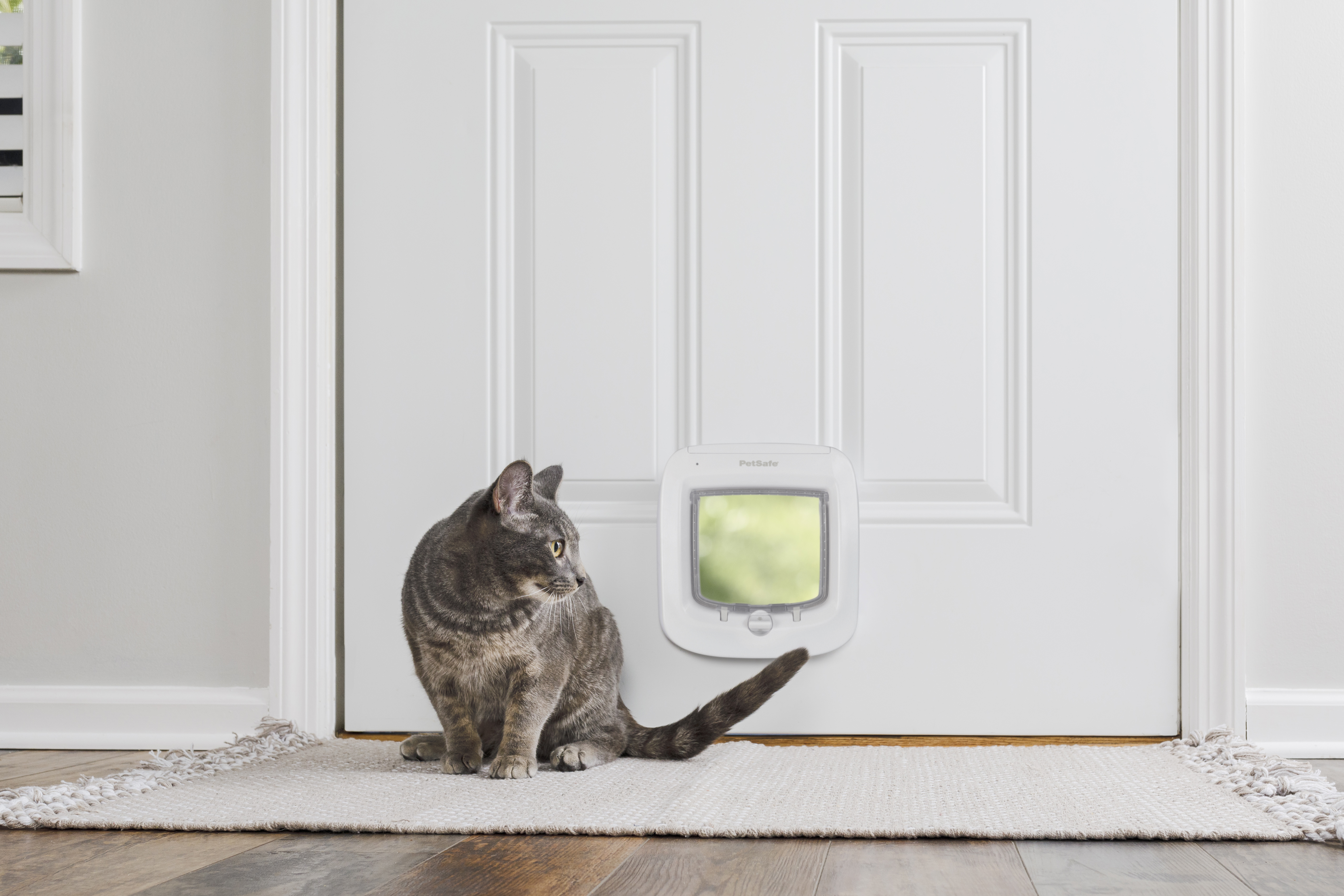 PetSafe Microchip Cat Flap - 1  