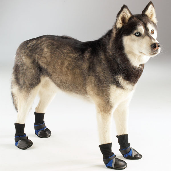 Guardian Gear Hunde Shoe - 3