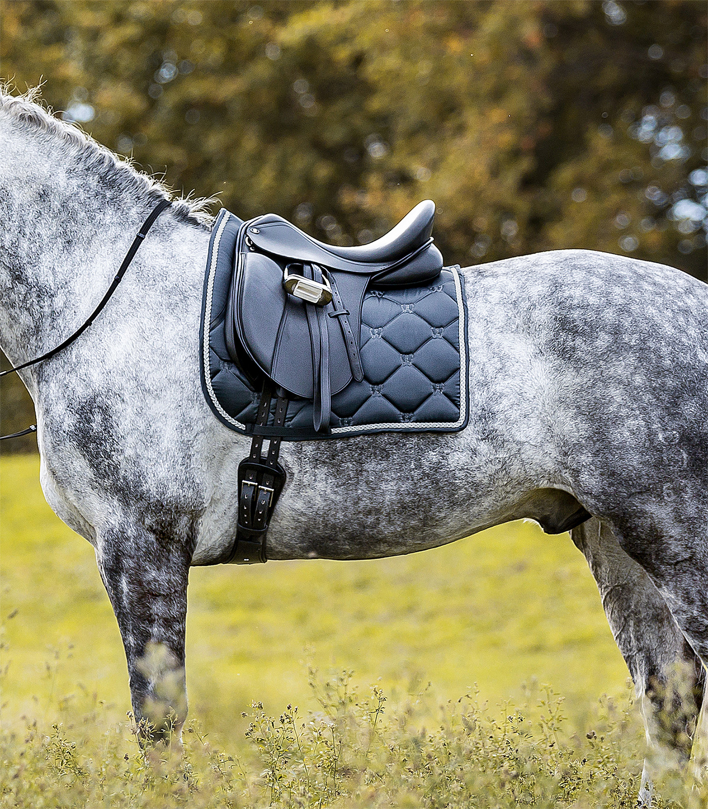 Waldhausen Valencia Saddle Pad midnight blue/silver - 2
