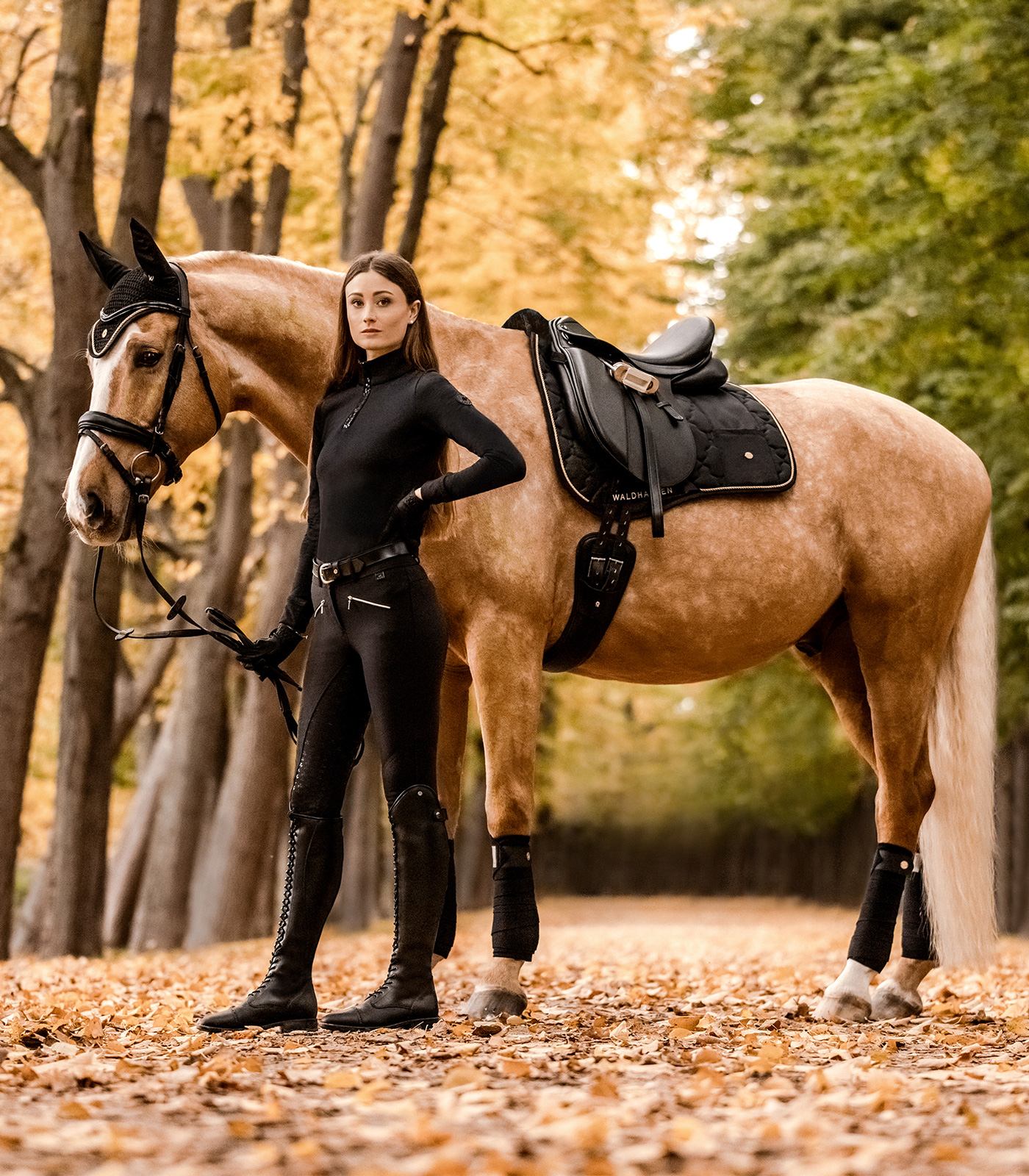 Waldhausen Modern Rosé Saddle Pad black/rose gold - 2