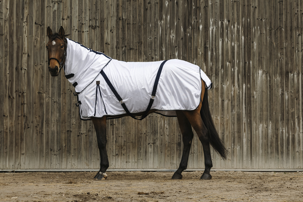 EQUITHEME Mesh Hals Till Hästtäcke Vit (Cob)