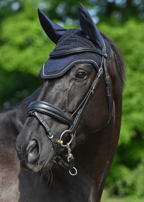 Bucas Show-Line Fly Bonnet - Navy/Grey 
