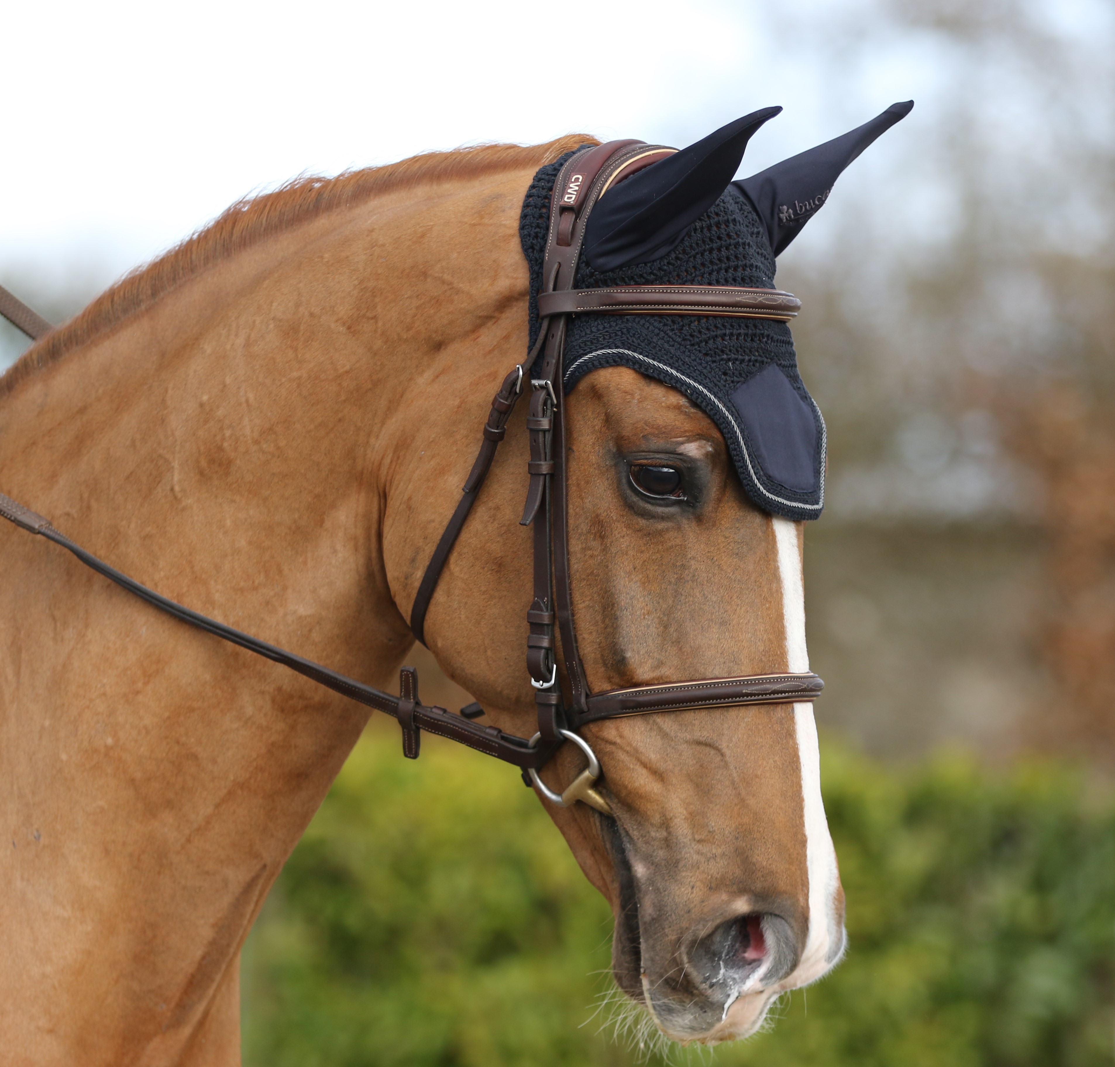 Bucas Show-Line Fly Bonnet - Navy/Grey - Stretchy Ears 