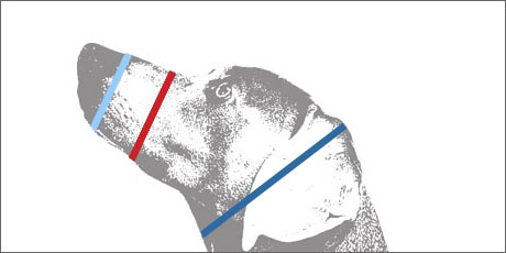 Baskerville Ultra Muzzles - 5