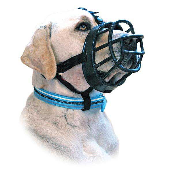 Muzzles & Special Leashes for Dogs Easy Walk & NonPull PETSTER