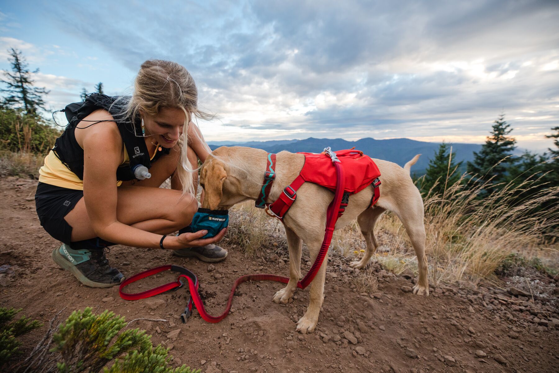 Ruffwear Switchbak™ Harness - Red Sumac 