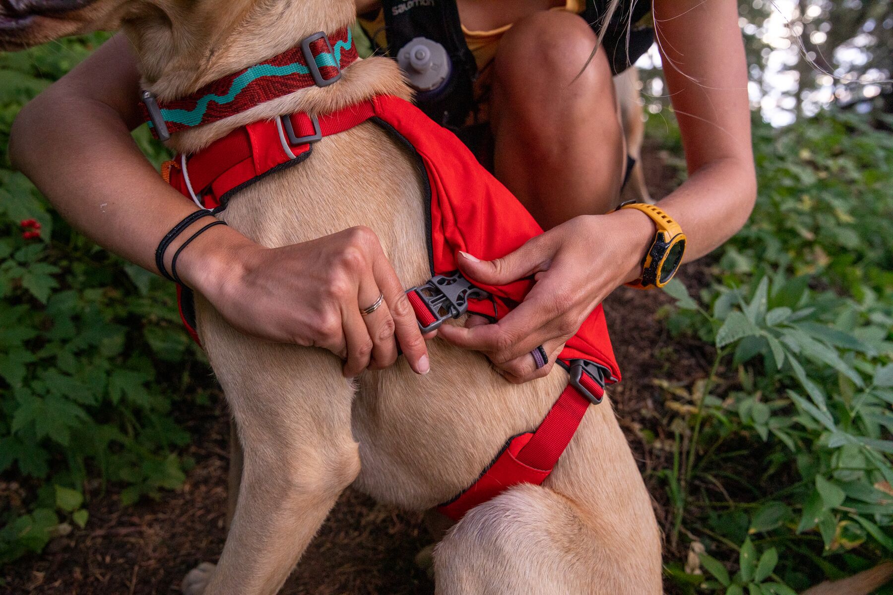 Ruffwear Switchbak™ Harness - Red Sumac 