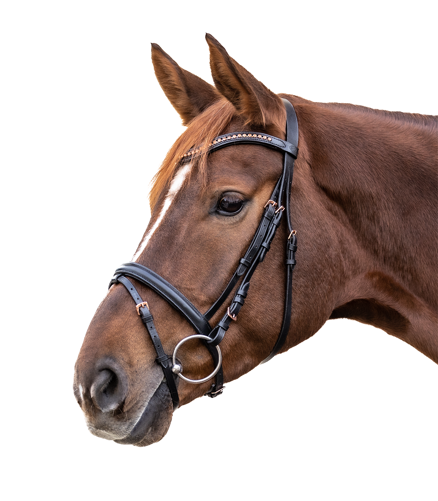 Waldhausen STAR Rosemary Bridle black - 3
