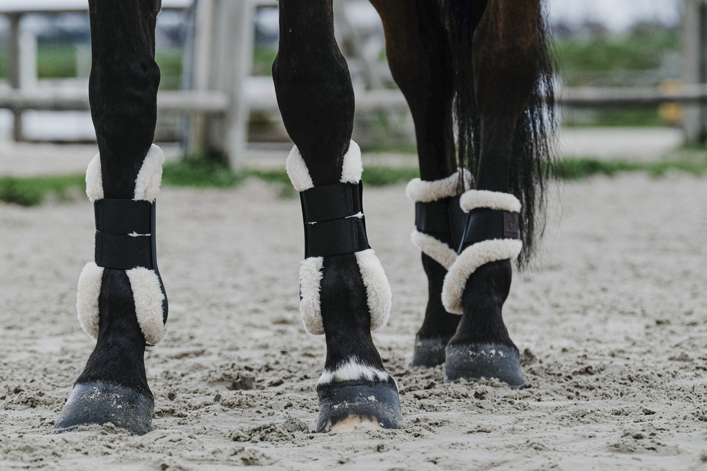 EQUITHEME 'Boa' Tendon Boots Black - 3