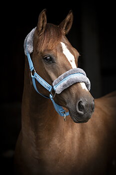Källquist Equestrian- Halter Horse Unique -Blue/Mediterranean blue