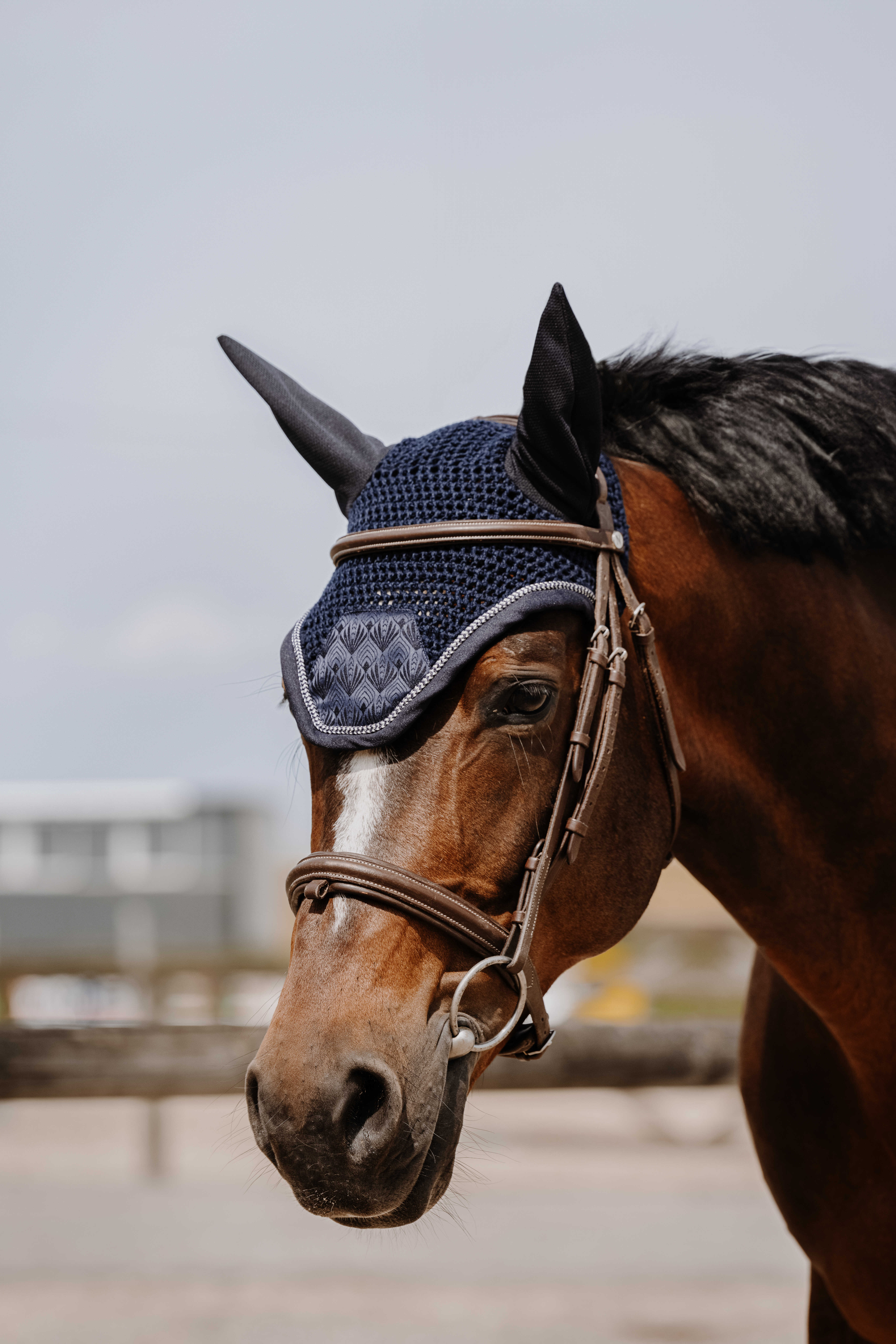 Equitheme Brocart Huva Navy - 2