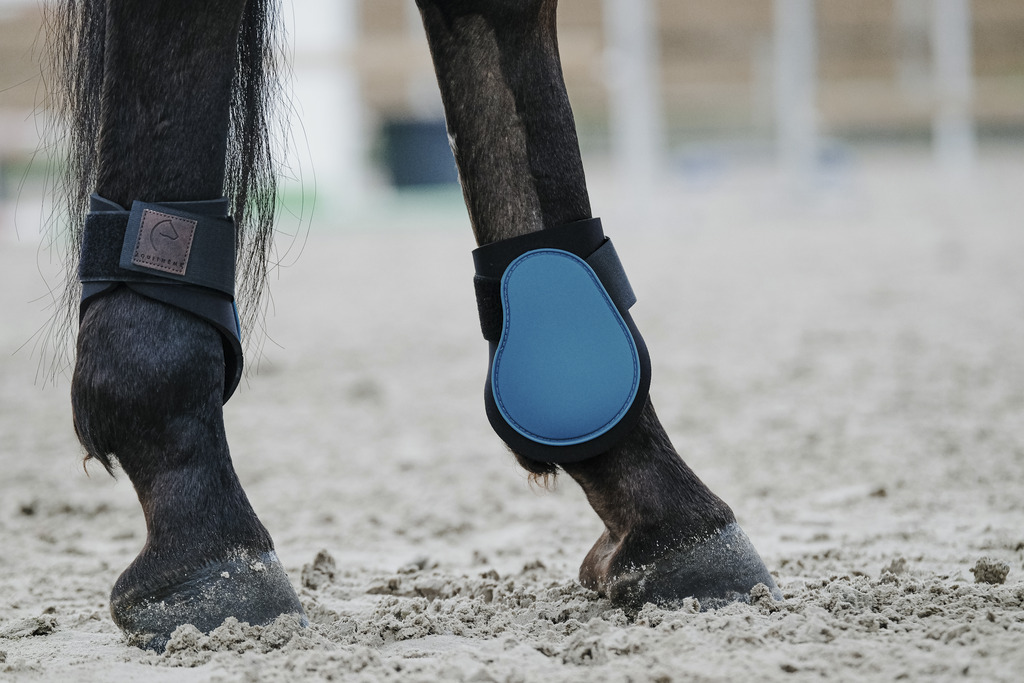 EQUITHEME Benskydd Bak Häst Sky Blue (Ponny)