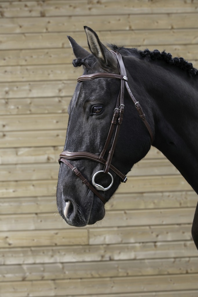 NORTON PRO Dcoup Träns Havana (Cob)