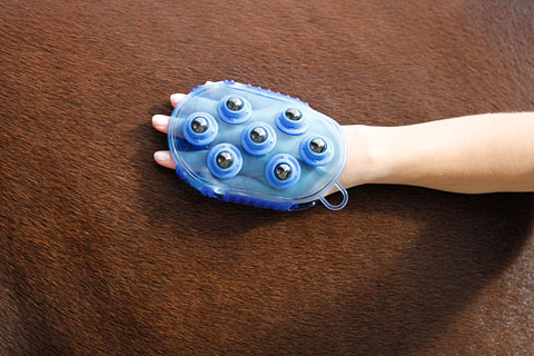 Kerbl Magnetic Massage Curry Comb - 6