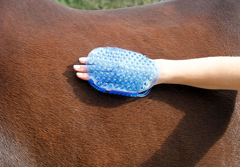 Kerbl Magnetic Massage Curry Comb - 5