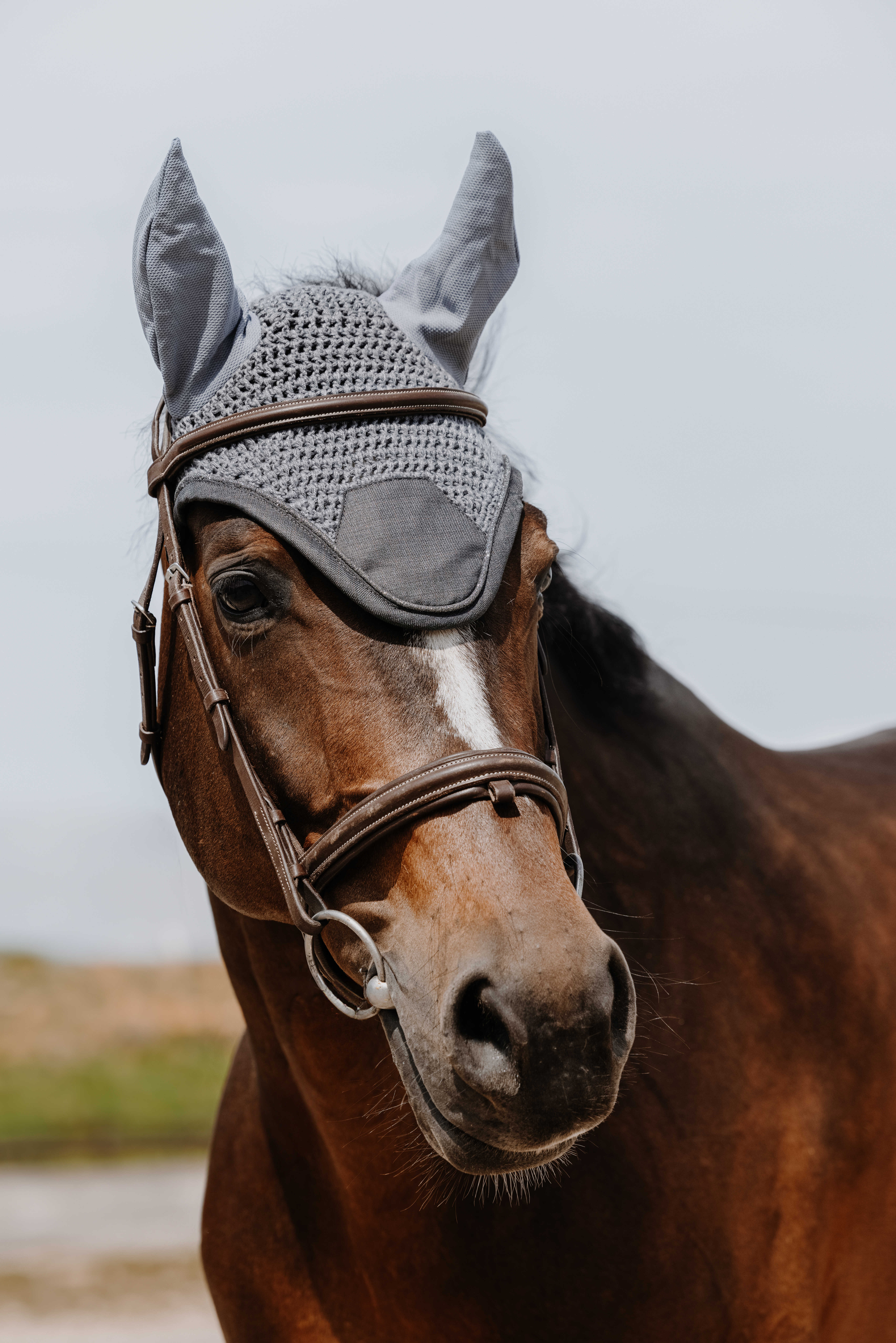 Equitheme Chic Hood Grey - 2