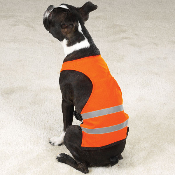 Sicherheitsweste Reflektierende Hunde - Orange - PETSTER