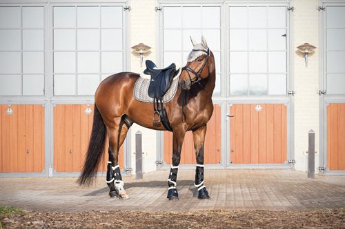 Horse Guard MediLamb saddlepad black - 2