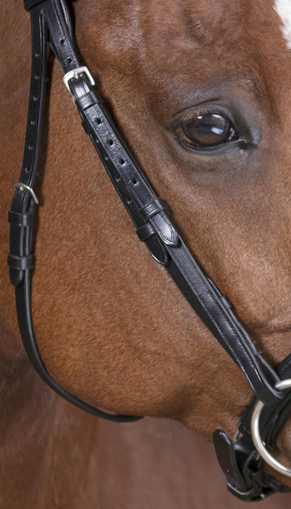 NORTON PRO Soft Bridle Black - 4