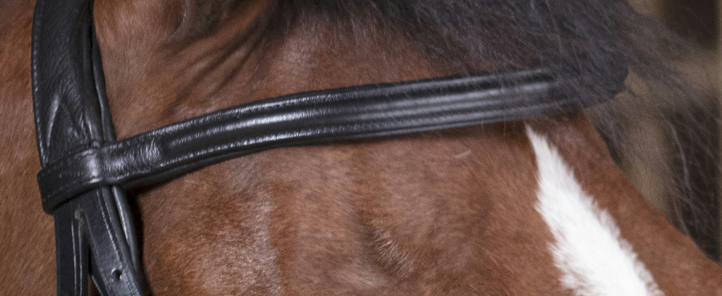NORTON PRO Soft Bridle Black - 5