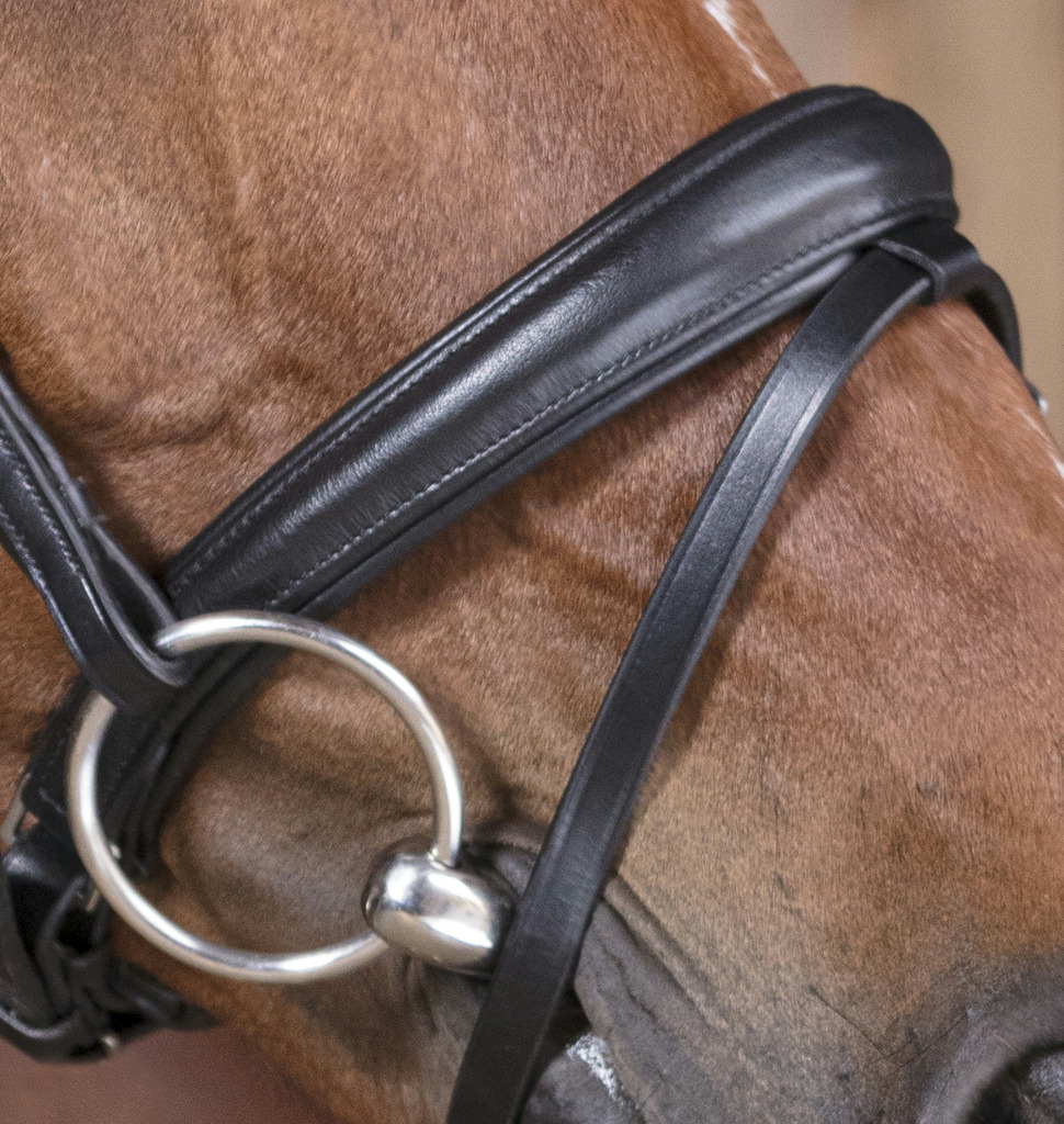 NORTON PRO Soft Bridle Black - 3